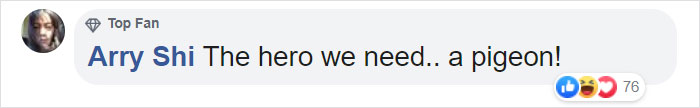 This Man Gets Pooped On While Explaining The Pigeon Poop Problem On Live TV This Man Gets Pooped On While Explaining The Pigeon Poop Problem On Live TV