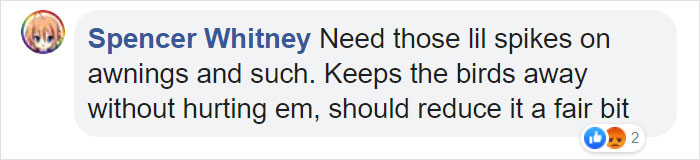 This Man Gets Pooped On While Explaining The Pigeon Poop Problem On Live TV This Man Gets Pooped On While Explaining The Pigeon Poop Problem On Live TV