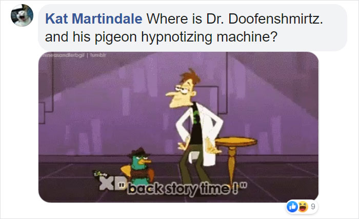 This Man Gets Pooped On While Explaining The Pigeon Poop Problem On Live TV This Man Gets Pooped On While Explaining The Pigeon Poop Problem On Live TV