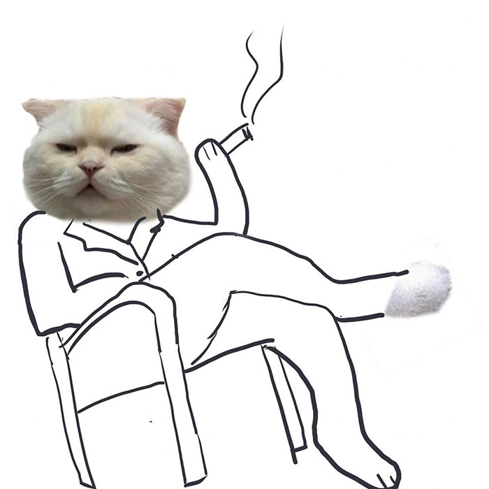 Someone Asks People To Draw A Cat Using This Template And People Create The Wildest Illustrations