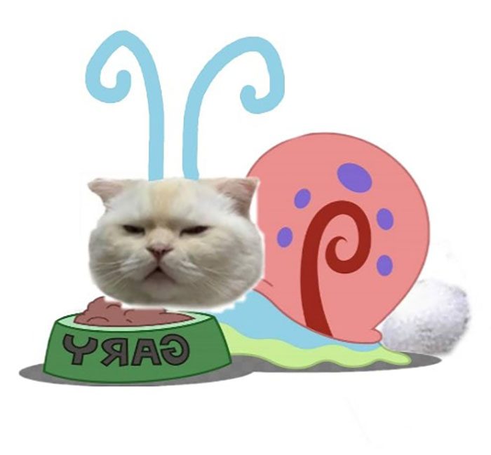 Someone Asks People To Draw A Cat Using This Template And People Create The Wildest Illustrations