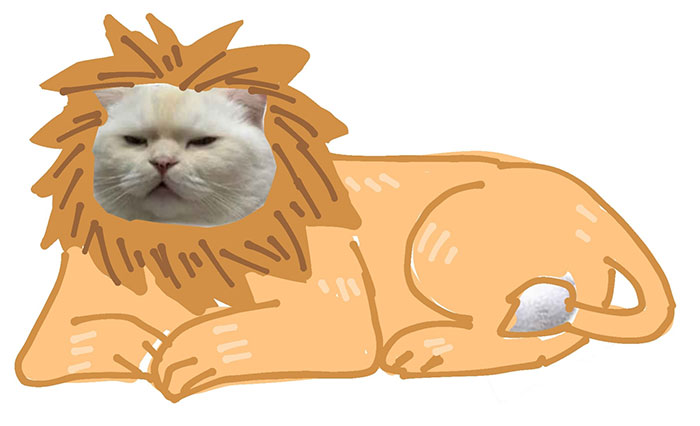 Someone Asks People To Draw A Cat Using This Template And People Create The Wildest Illustrations