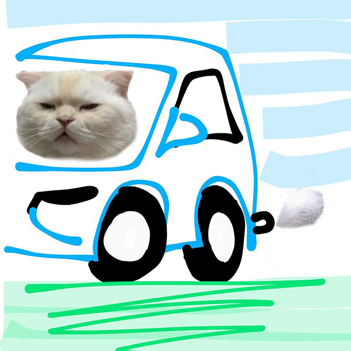 Someone Asks People To Draw A Cat Using This Template And People Create The Wildest Illustrations