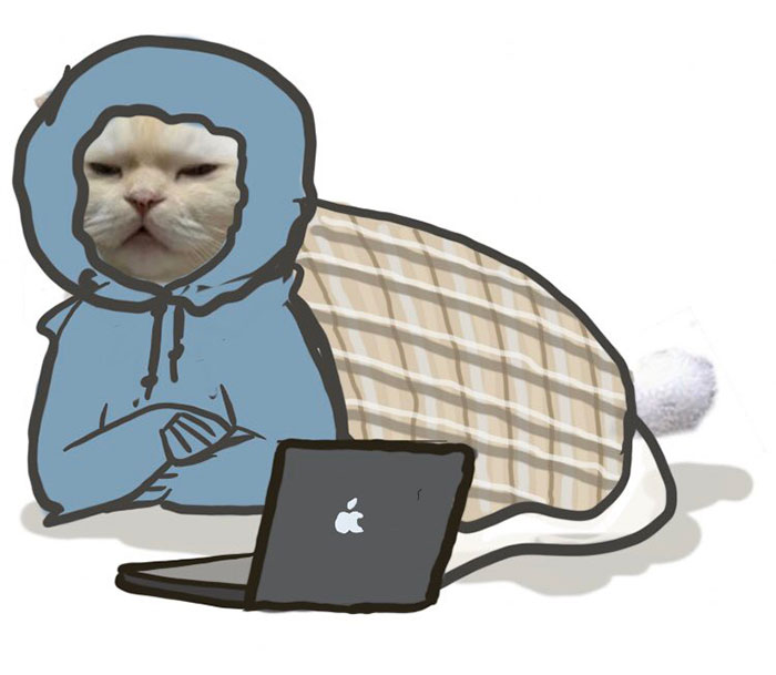 Someone Asks People To Draw A Cat Using This Template And People Create The Wildest Illustrations