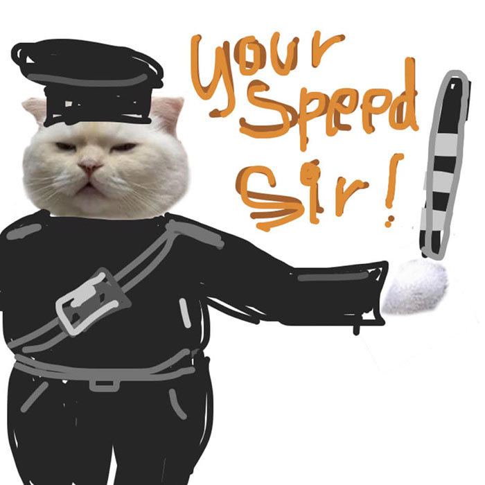 Someone Asks People To Draw A Cat Using This Template And People Create The Wildest Illustrations