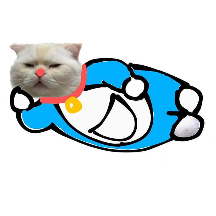 Someone Asks People To Draw A Cat Using This Template And People Create The Wildest Illustrations