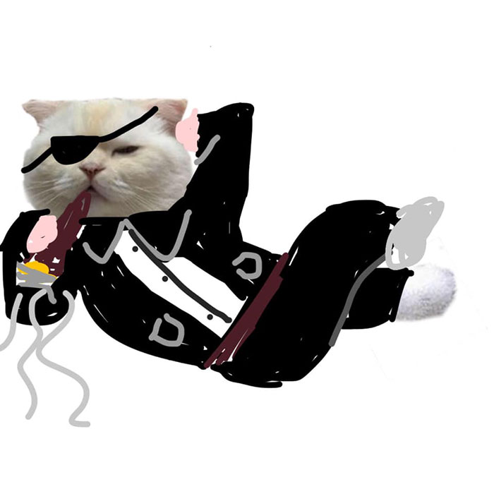 Someone Asks People To Draw A Cat Using This Template And People Create The Wildest Illustrations