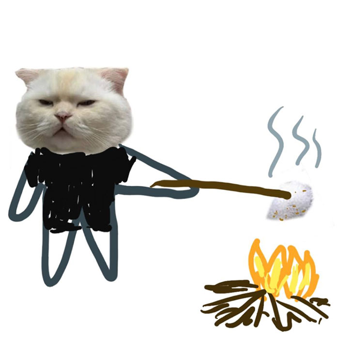 Someone Asks People To Draw A Cat Using This Template And People Create The Wildest Illustrations