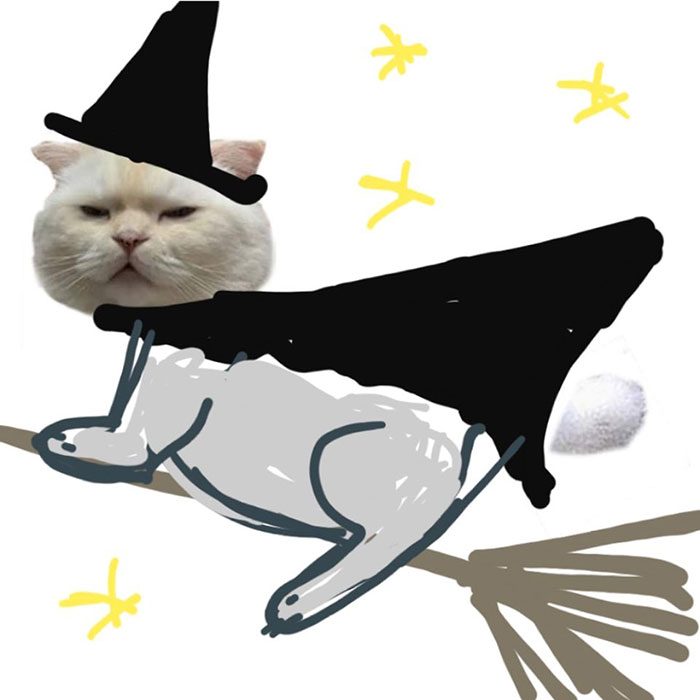 Someone Asks People To Draw A Cat Using This Template And People Create The Wildest Illustrations