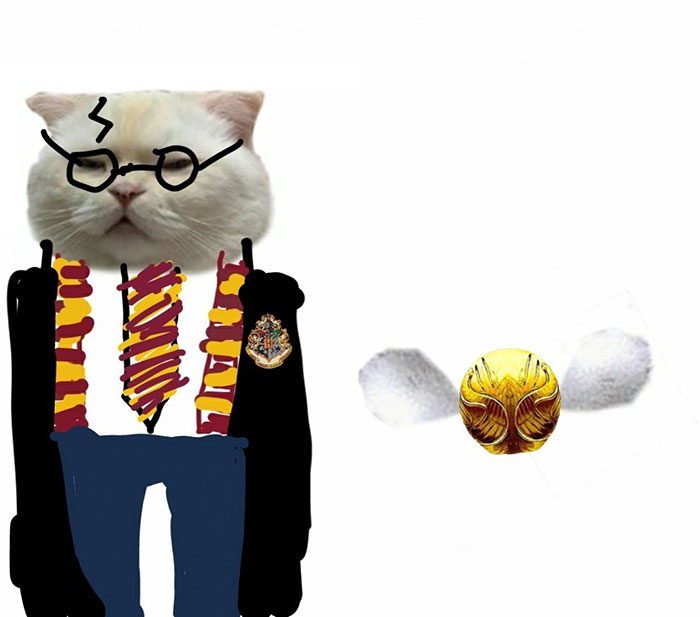 Someone Asks People To Draw A Cat Using This Template And People Create The Wildest Illustrations