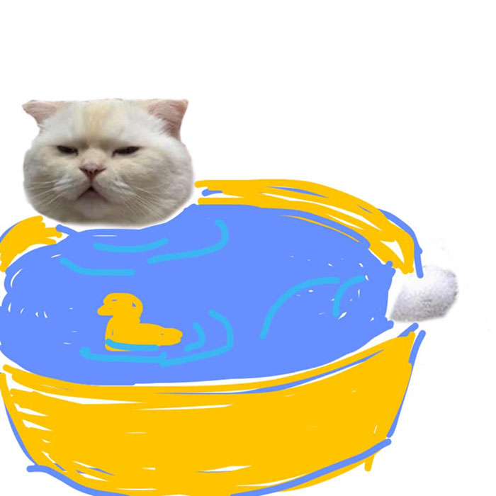 Someone Asks People To Draw A Cat Using This Template And People Create The Wildest Illustrations