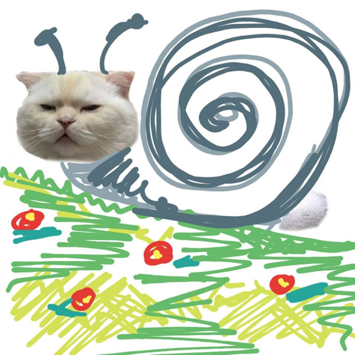 Someone Asks People To Draw A Cat Using This Template And People Create The Wildest Illustrations