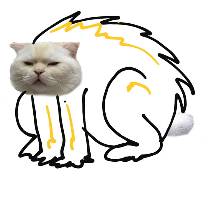 Someone Asks People To Draw A Cat Using This Template And People Create The Wildest Illustrations