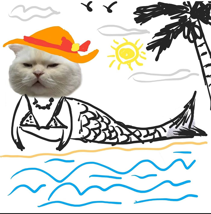 Someone Asks People To Draw A Cat Using This Template And People Create The Wildest Illustrations