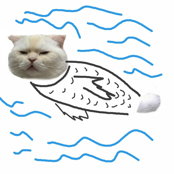 Someone Asks People To Draw A Cat Using This Template And People Create The Wildest Illustrations