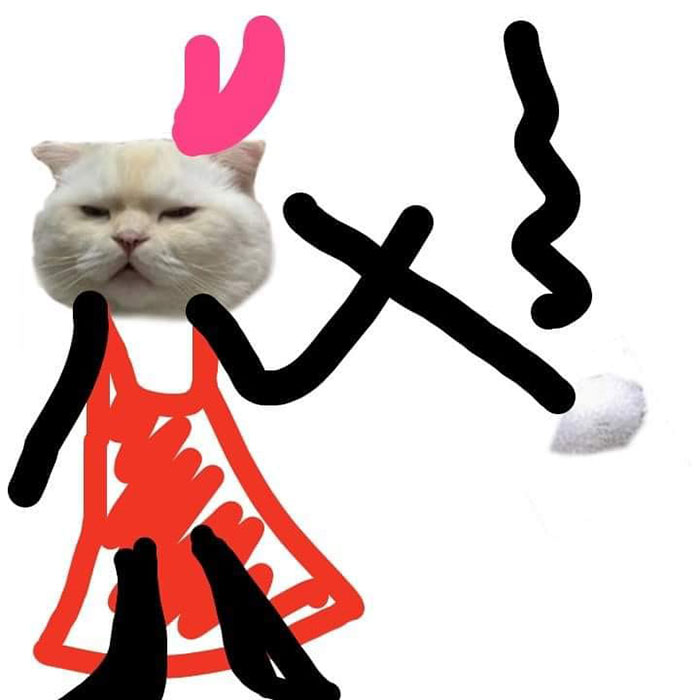 Someone Asks People To Draw A Cat Using This Template And People Create The Wildest Illustrations