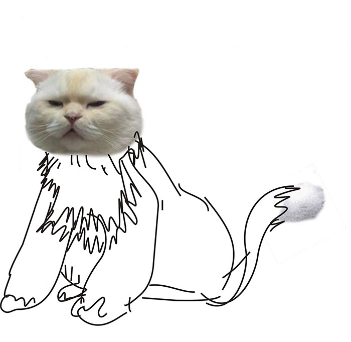 Someone Asks People To Draw A Cat Using This Template And People Create The Wildest Illustrations