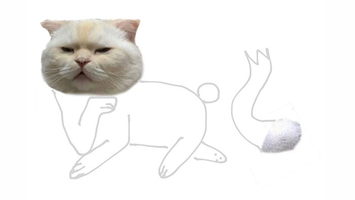 Someone Asks People To Draw A Cat Using This Template And People Create The Wildest Illustrations