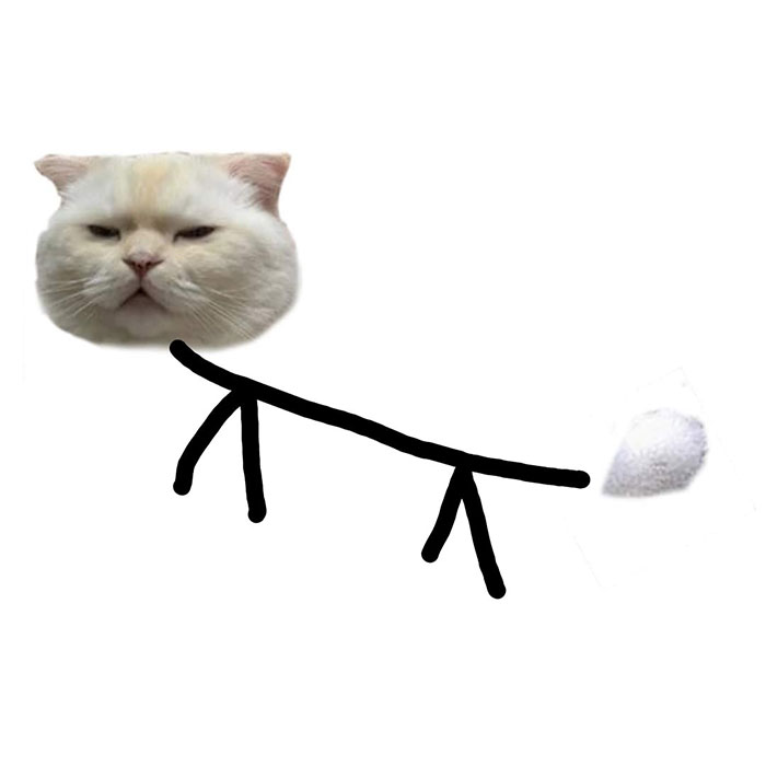 Someone Asks People To Draw A Cat Using This Template And People Create The Wildest Illustrations