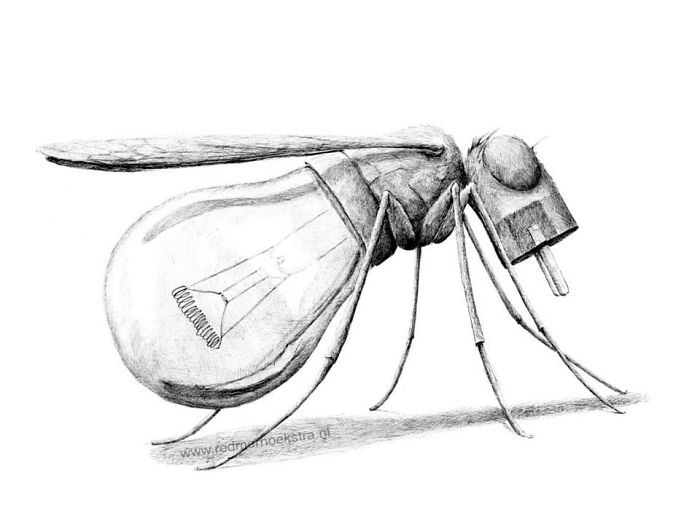 My 70 Drawings That Illustrate The Way My Mind Works My 70 Drawings That Illustrate The Way My Mind Works