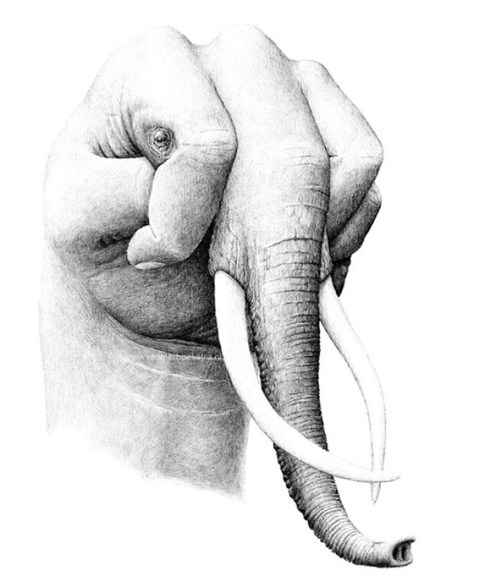 My 70 Drawings That Illustrate The Way My Mind Works My 70 Drawings That Illustrate The Way My Mind Works