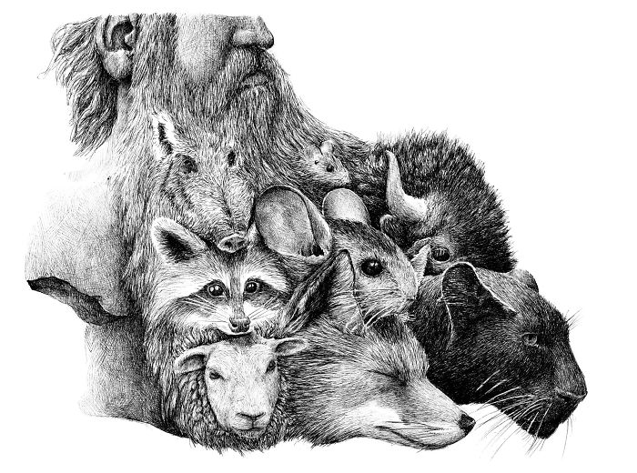 My 70 Drawings That Illustrate The Way My Mind Works My 70 Drawings That Illustrate The Way My Mind Works