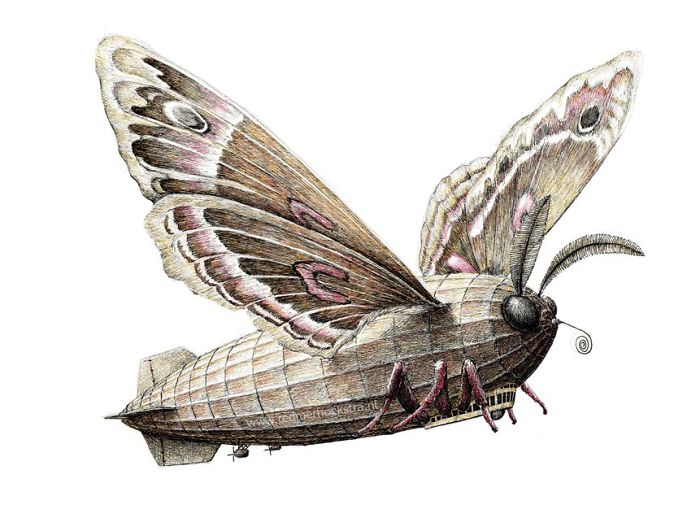 My 70 Drawings That Illustrate The Way My Mind Works My 70 Drawings That Illustrate The Way My Mind Works