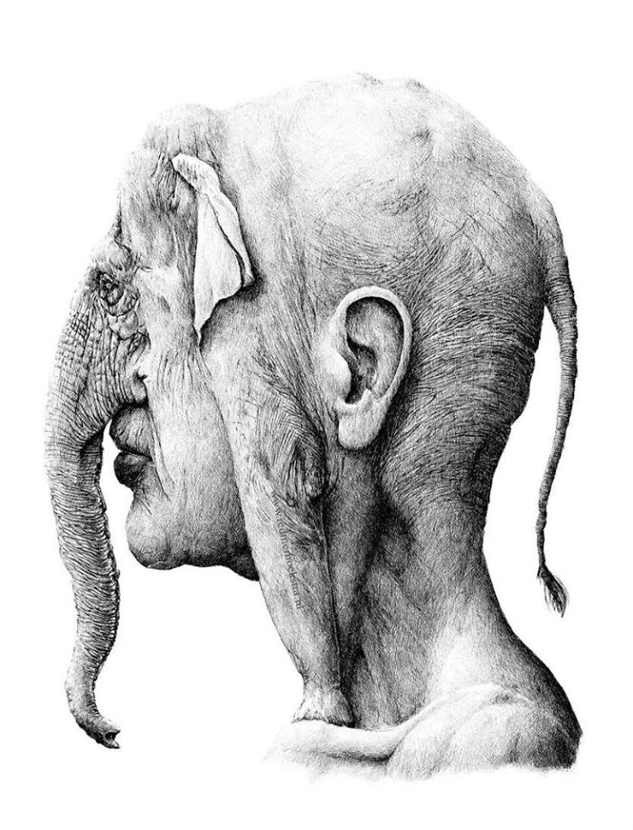 My 70 Drawings That Illustrate The Way My Mind Works My 70 Drawings That Illustrate The Way My Mind Works