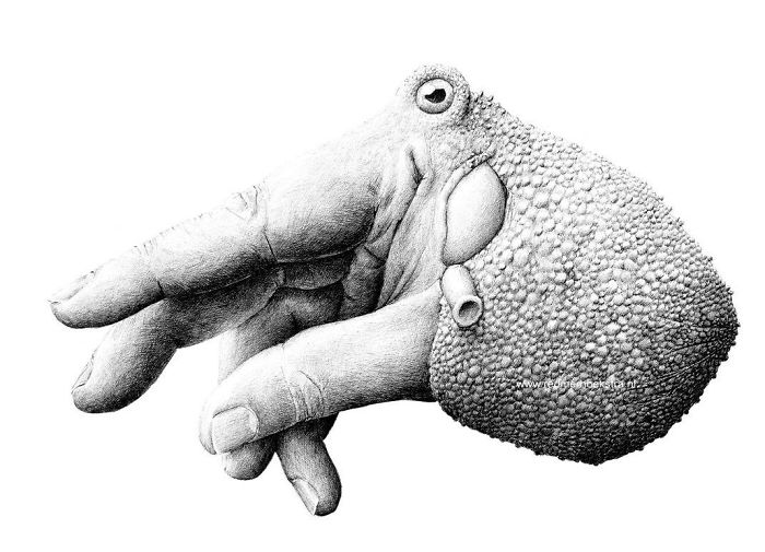 My 70 Drawings That Illustrate The Way My Mind Works My 70 Drawings That Illustrate The Way My Mind Works