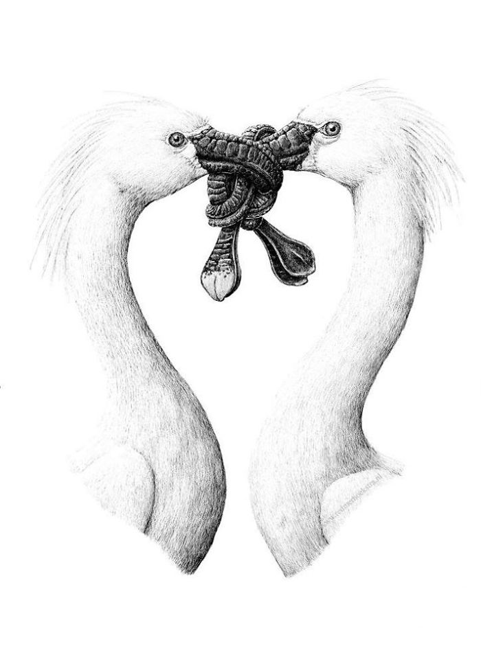 My 70 Drawings That Illustrate The Way My Mind Works My 70 Drawings That Illustrate The Way My Mind Works