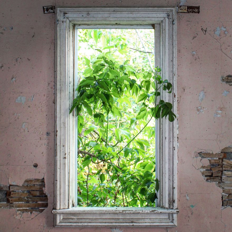 I Explore Abandoned Homes Throughout Rural Wisconsin I Explore Abandoned Homes Throughout Rural Wisconsin