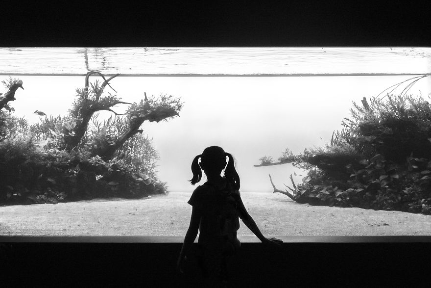 With My Black And White Photography I Try To Illustrate How Isolated We, As A Society, Have Become (20 Pics)