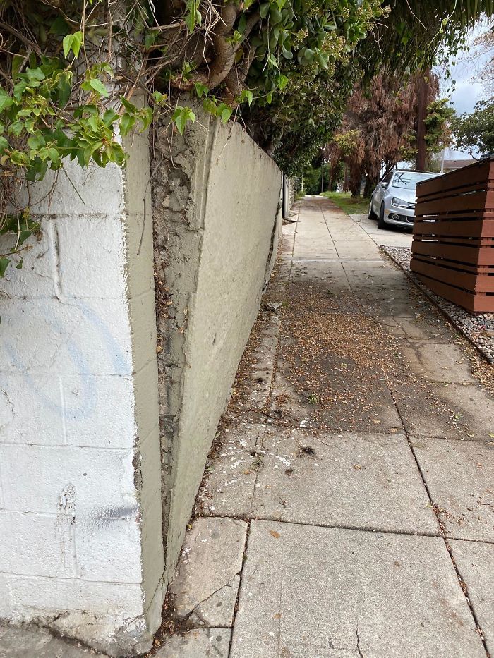 30 Times Structural Inspectors Found Surprising Things (New Pics) 30 Times Structural Inspectors Found Surprising Things (New Pics)