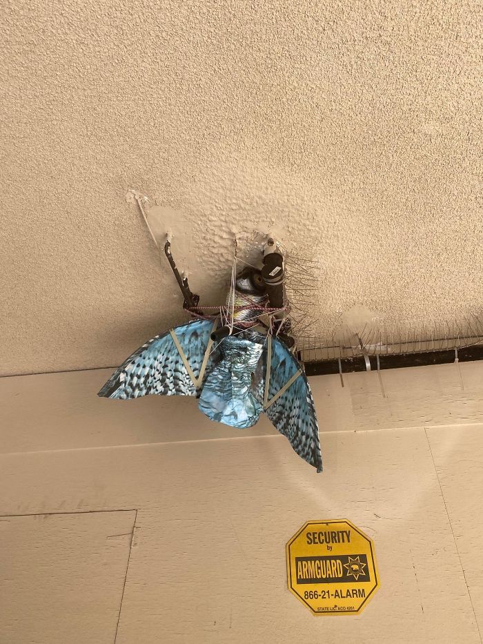 30 Times Structural Inspectors Found Surprising Things (New Pics) 30 Times Structural Inspectors Found Surprising Things (New Pics)