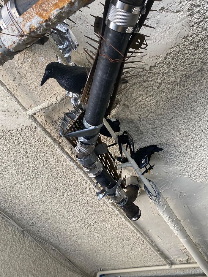 30 Times Structural Inspectors Found Surprising Things (New Pics) 30 Times Structural Inspectors Found Surprising Things (New Pics)