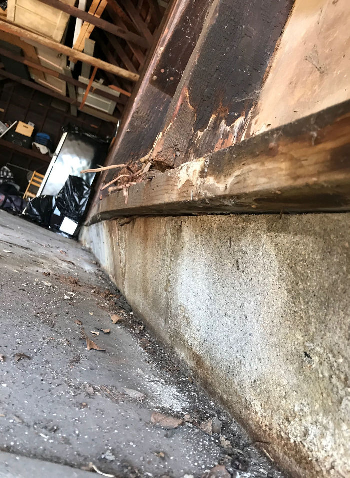 30 Times Structural Inspectors Found Surprising Things (New Pics) 30 Times Structural Inspectors Found Surprising Things (New Pics)