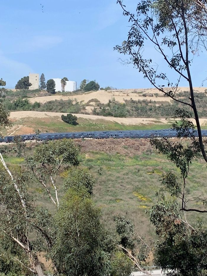 30 Times Structural Inspectors Found Surprising Things (New Pics) 30 Times Structural Inspectors Found Surprising Things (New Pics)