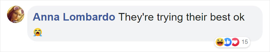 Photographers Get To Witness 5 Cheetahs Crossing A Flooded River Infested With Crocodiles Photographers Get To Witness 5 Cheetahs Crossing A Flooded River Infested With Crocodiles