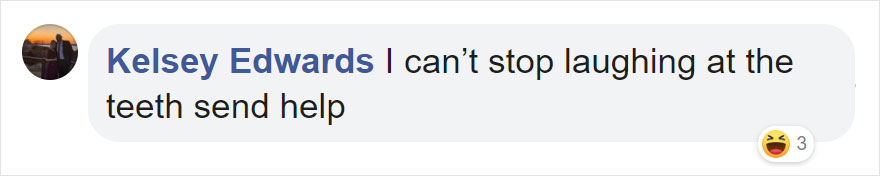 Photographers Get To Witness 5 Cheetahs Crossing A Flooded River Infested With Crocodiles Photographers Get To Witness 5 Cheetahs Crossing A Flooded River Infested With Crocodiles