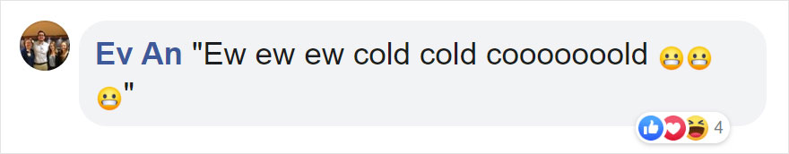 Photographers Get To Witness 5 Cheetahs Crossing A Flooded River Infested With Crocodiles Photographers Get To Witness 5 Cheetahs Crossing A Flooded River Infested With Crocodiles