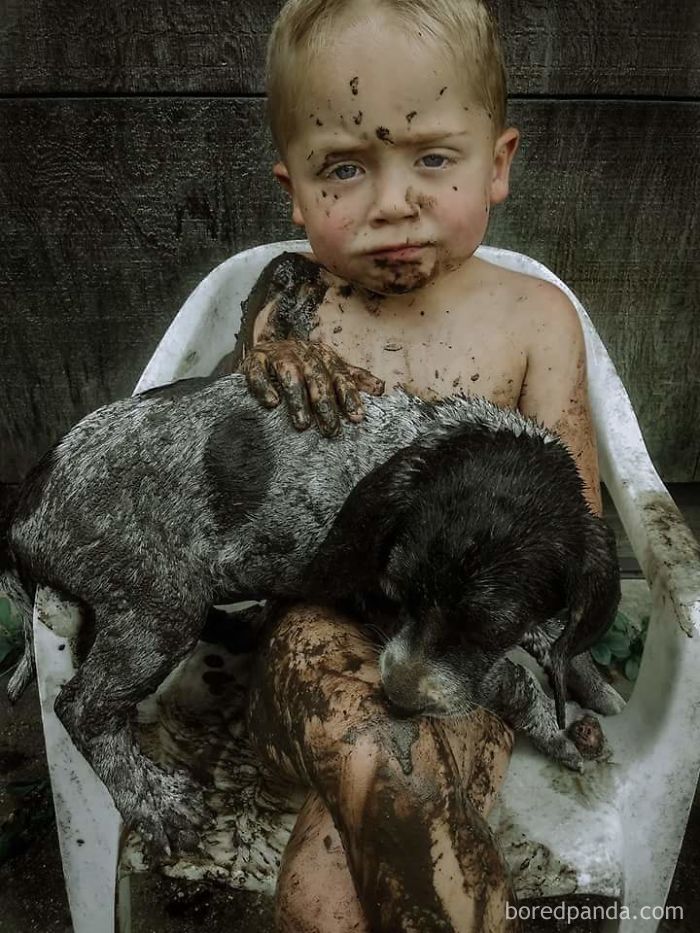 30 Reasons You Should Never Let Your Dog Play In The Mud (New Pics) 30 Reasons You Should Never Let Your Dog Play In The Mud (New Pics)