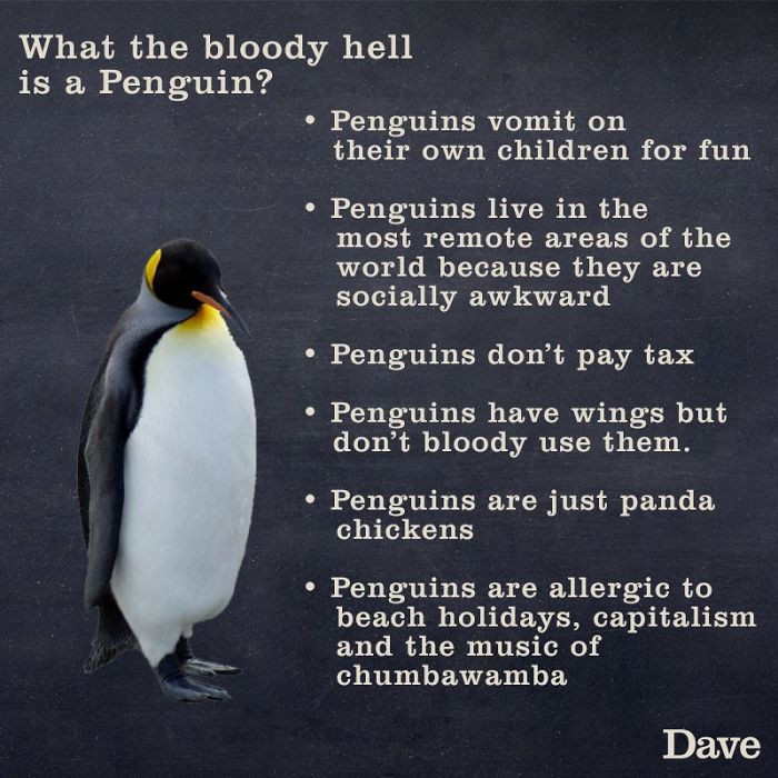 Dave Releases 30 Animal ‘Guides’ And They’re So Ridiculous, They’re Hilarious Dave Releases 30 Animal ‘Guides’ And They’re So Ridiculous, They’re Hilarious