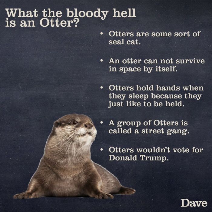 Dave Releases 30 Animal ‘Guides’ And They’re So Ridiculous, They’re Hilarious Dave Releases 30 Animal ‘Guides’ And They’re So Ridiculous, They’re Hilarious