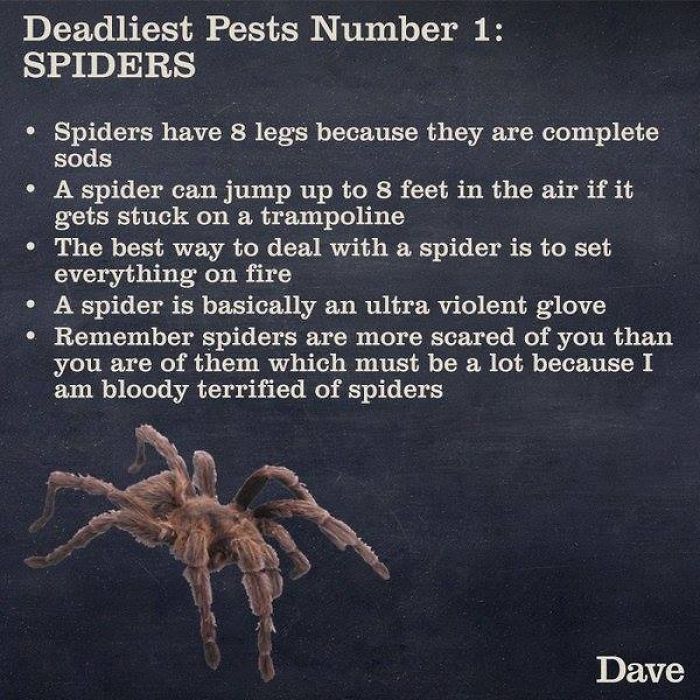 Dave Releases 30 Animal ‘Guides’ And They’re So Ridiculous, They’re Hilarious Dave Releases 30 Animal ‘Guides’ And They’re So Ridiculous, They’re Hilarious