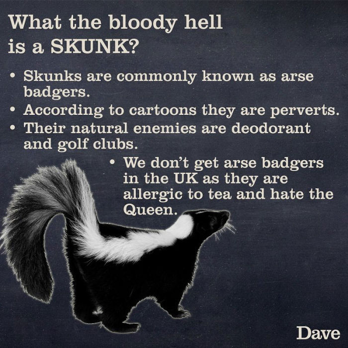 Dave Releases 30 Animal ‘Guides’ And They’re So Ridiculous, They’re Hilarious Dave Releases 30 Animal ‘Guides’ And They’re So Ridiculous, They’re Hilarious