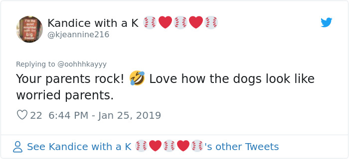 Wholesome Dad Finds Dog’s ‘Baby’ Dying In The Rain, ‘Hospitalizes’ It And Sends Live Updates To The Family Wholesome Dad Finds Dog’s ‘Baby’ Dying In The Rain, ‘Hospitalizes’ It And Sends Live Updates To The Family