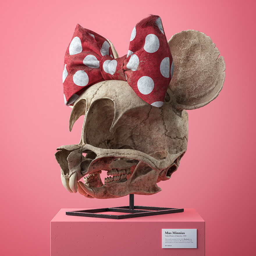 Anatomically Correct Skulls Of Popular Cartoon Characters By Czech Artist Filip Hodas Anatomically Correct Skulls Of Popular Cartoon Characters By Czech Artist Filip Hodas