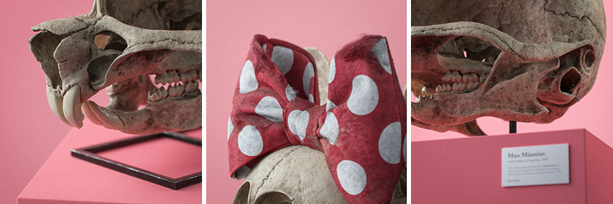 Anatomically Correct Skulls Of Popular Cartoon Characters By Czech Artist Filip Hodas Anatomically Correct Skulls Of Popular Cartoon Characters By Czech Artist Filip Hodas