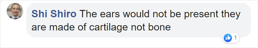 Anatomically Correct Skulls Of Popular Cartoon Characters By Czech Artist Filip Hodas Anatomically Correct Skulls Of Popular Cartoon Characters By Czech Artist Filip Hodas