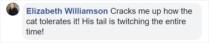 Viral Video Shows Adorable Moment When A Puppy Cuddles Up To A Kitten